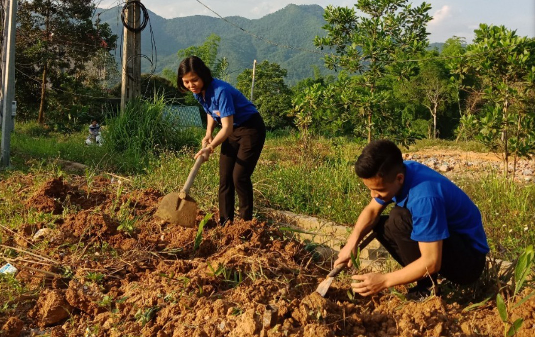 ĐVTN trồng cây tại khuôn viên của trường