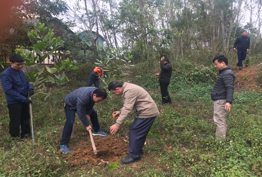 TRƯỜNG TRUNG CẤP NGHỀ CAO BẰNG HƯỞNG ỨNG TẾT TRỒNG CÂY MỪNG XUÂN QUÝ MÃO 2023